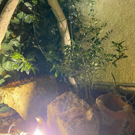 Casa Dolce Franca * אלגהרו